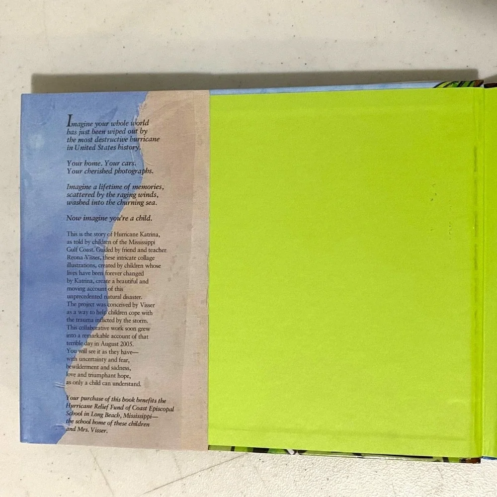 Story of‎ a Storm Hardcover Reona Visser Natural Disaster Survival Vintage 2000s